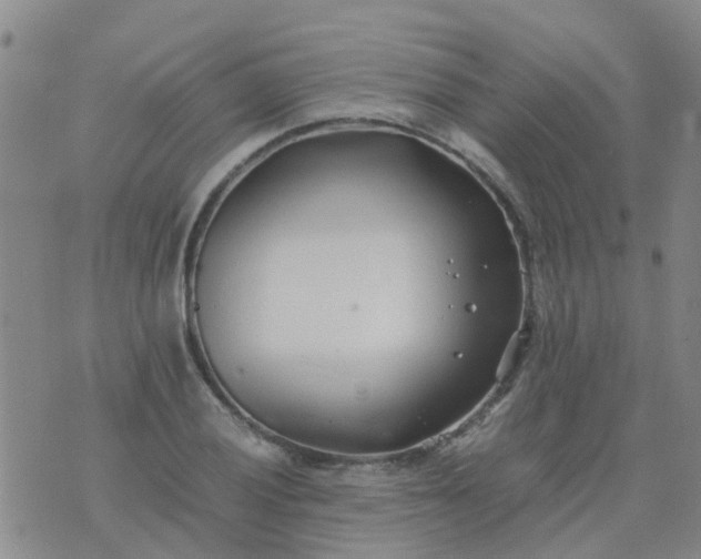 X0000074331028200609082027