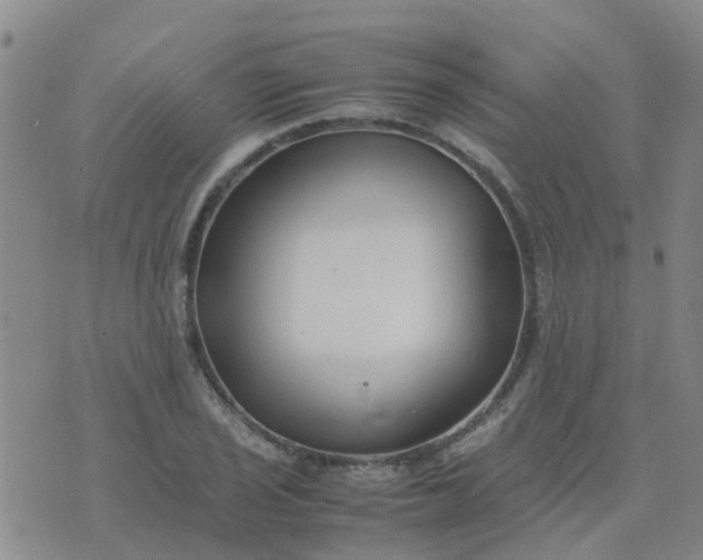 X0000074331029200609082027