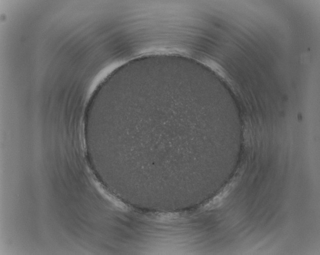 X0000074331030200609082027