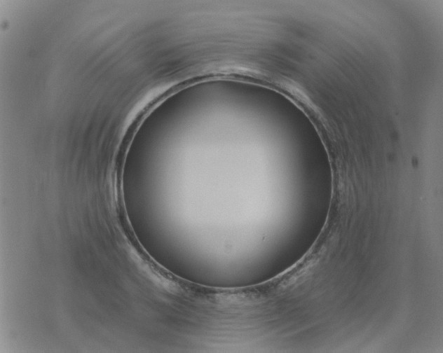 X0000074331032200609082027