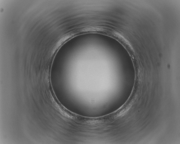 X0000074331033200609082027