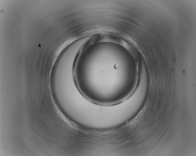 X0000074331034200609082027