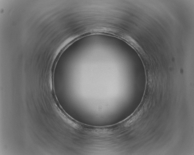 X0000074331036200609082027