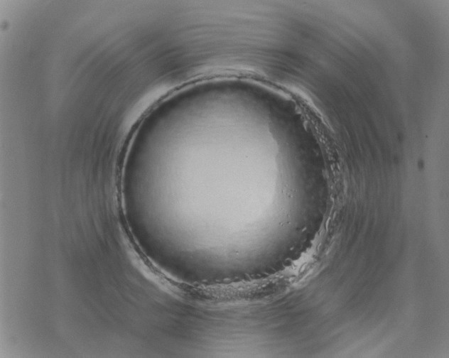 X0000074331038200609082027