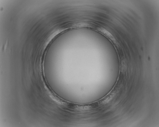 X0000074331039200609082027