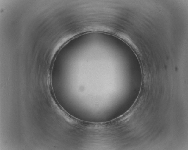 X0000074331040200609082027