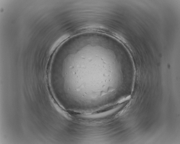 X0000074331042200609082027