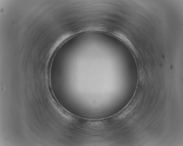 X0000074331043200609082027