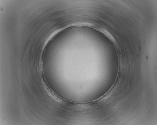 X0000074331044200609082027