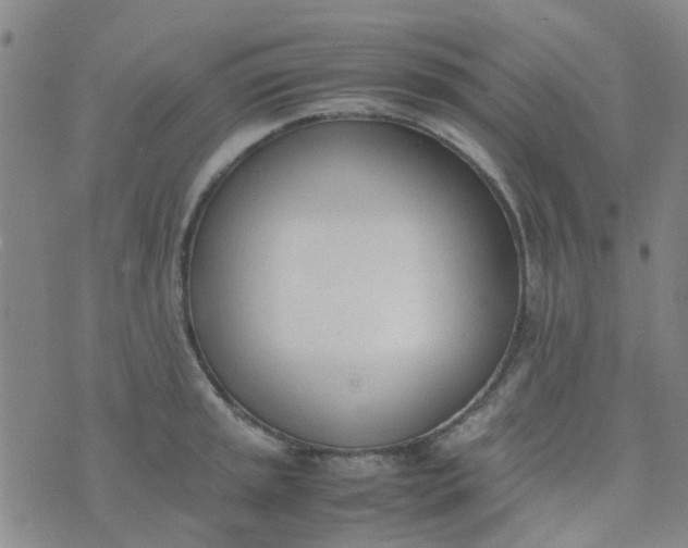 X0000074331045200609082027