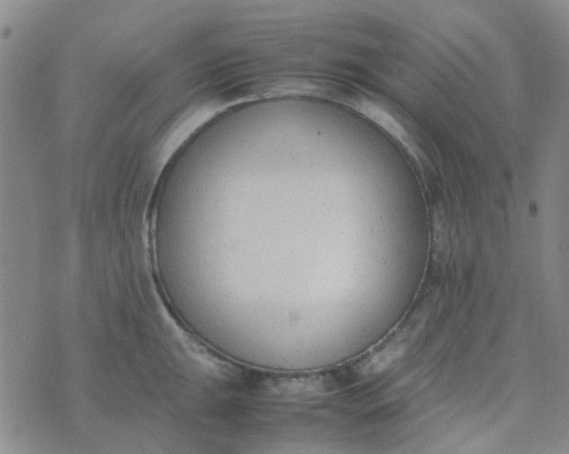 X0000074331047200609082027