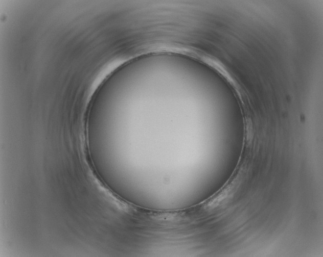 X0000074331048200609082027