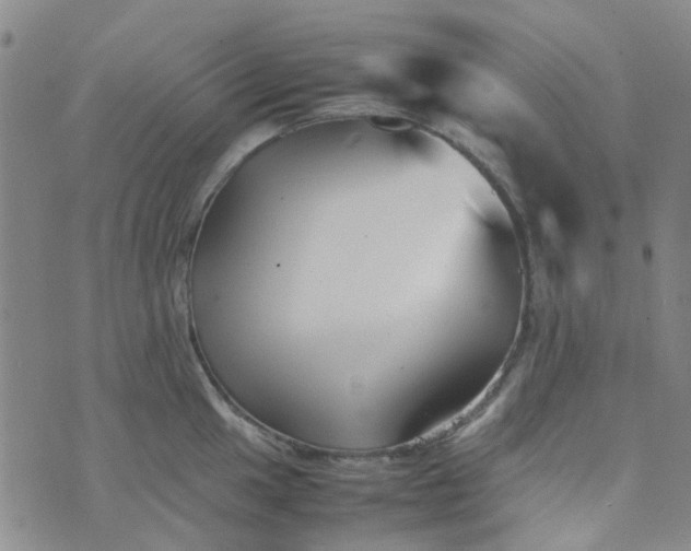 X0000074331049200609082027