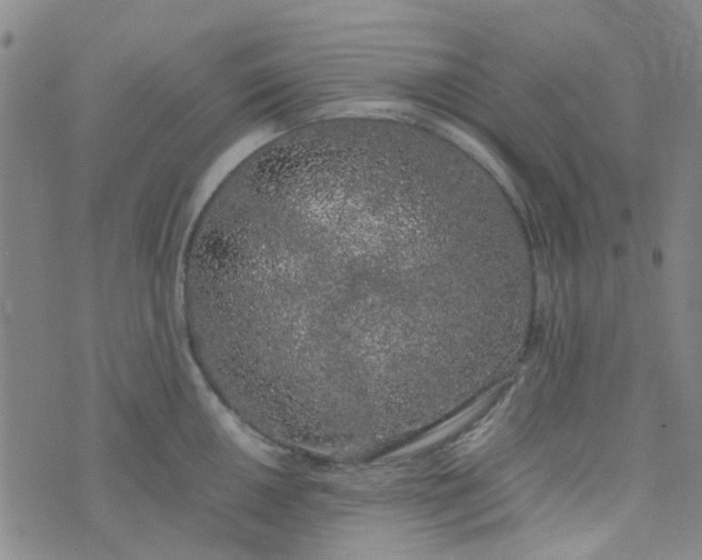 X0000074331050200609082027