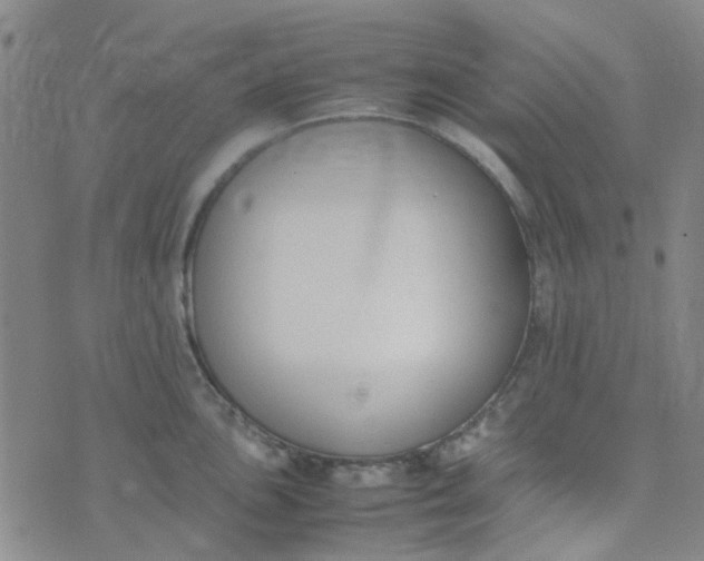 X0000074331051200609082027