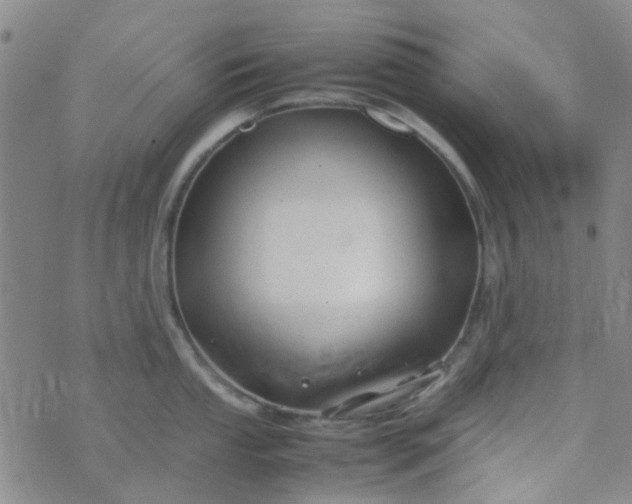 X0000074331053200609082027