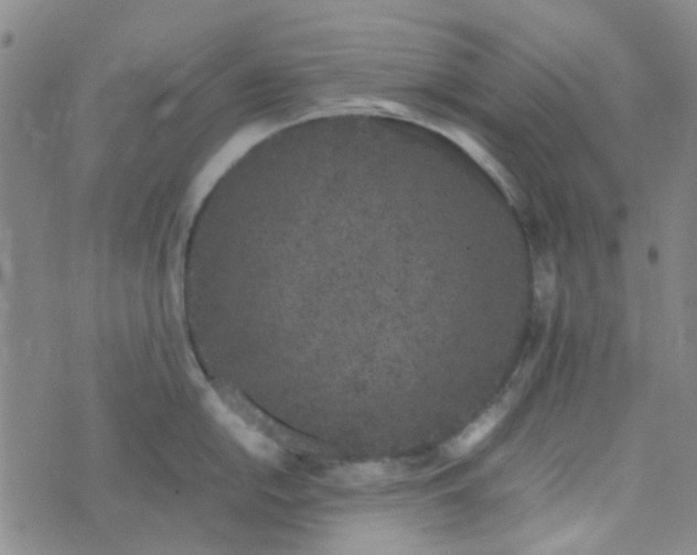 X0000074331054200609082027