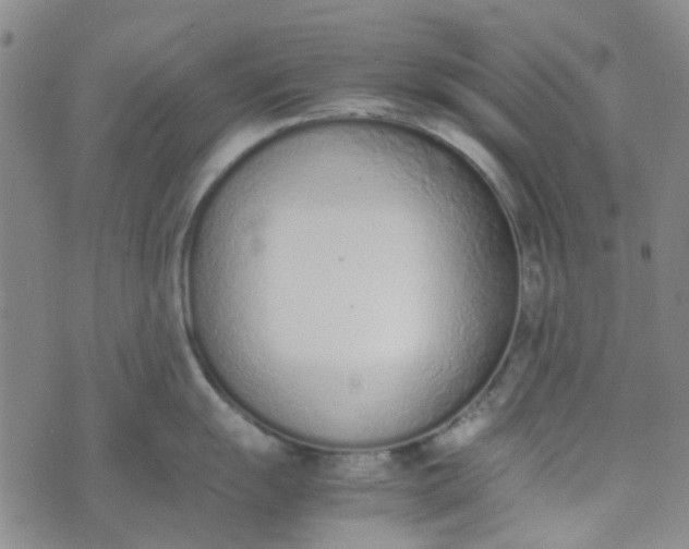 X0000074331055200609082027