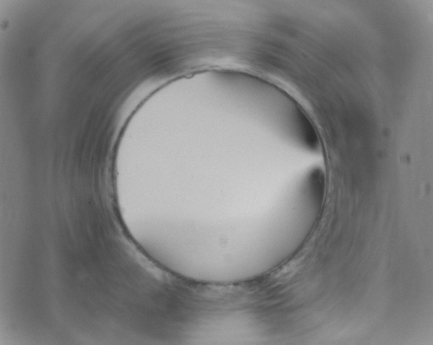 X0000074331056200609082027