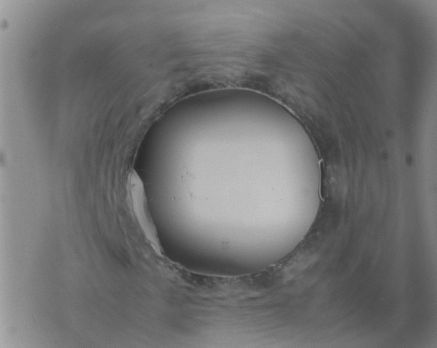 X0000074331057200609082026