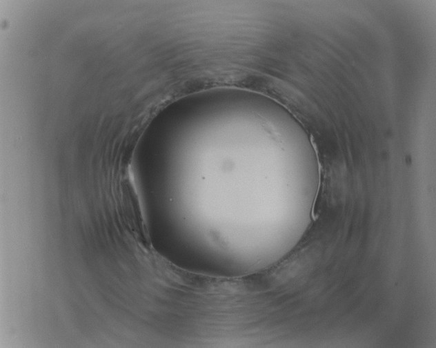 X0000074331058200609082026