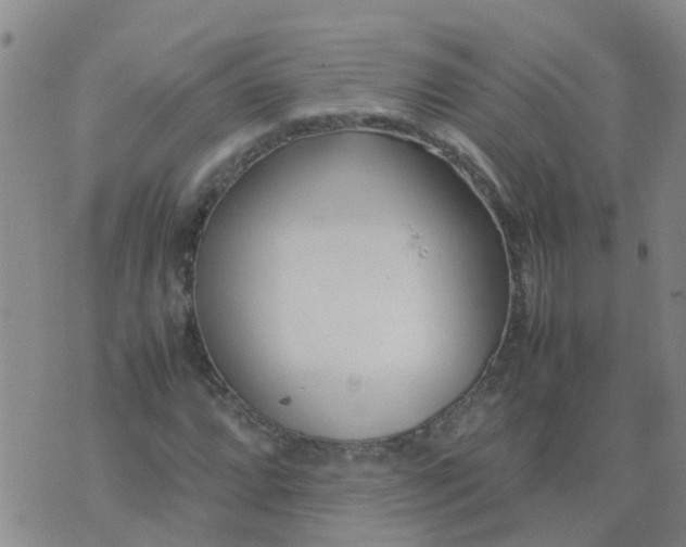 X0000074331064200609082026