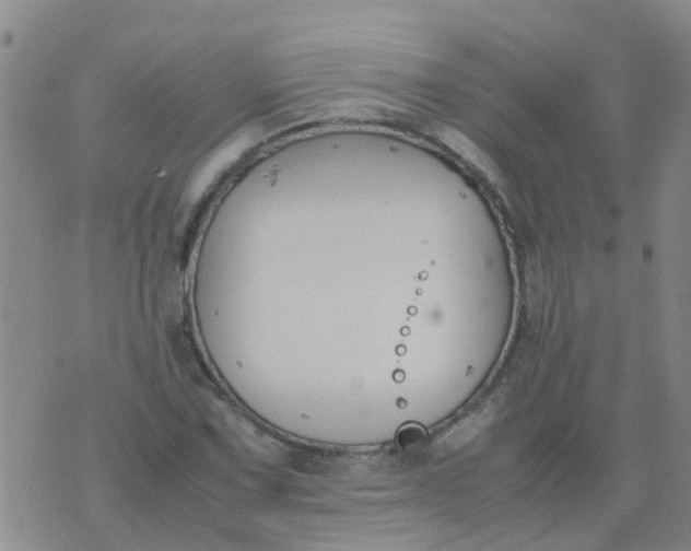 X0000074331067200609082026