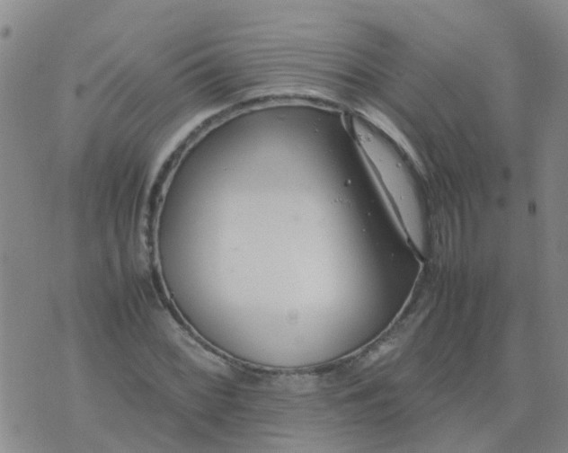 X0000074331068200609082026