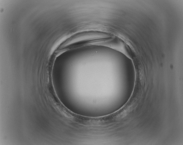 X0000074331069200609082026