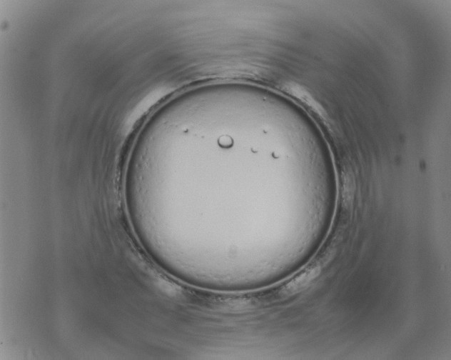 X0000074331071200609082026