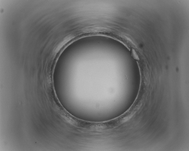 X0000074331073200609082026