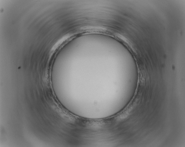 X0000074331074200609082026