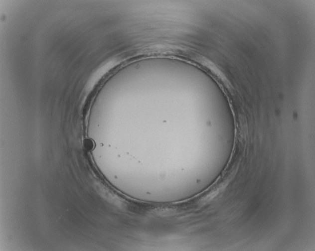 X0000074331075200609082026