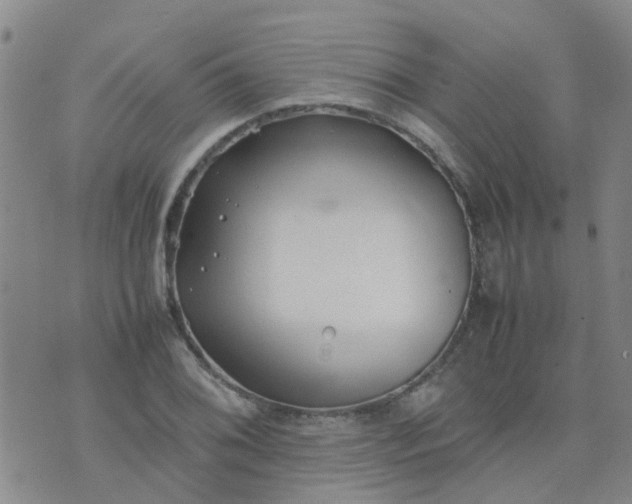 X0000074331076200609082026