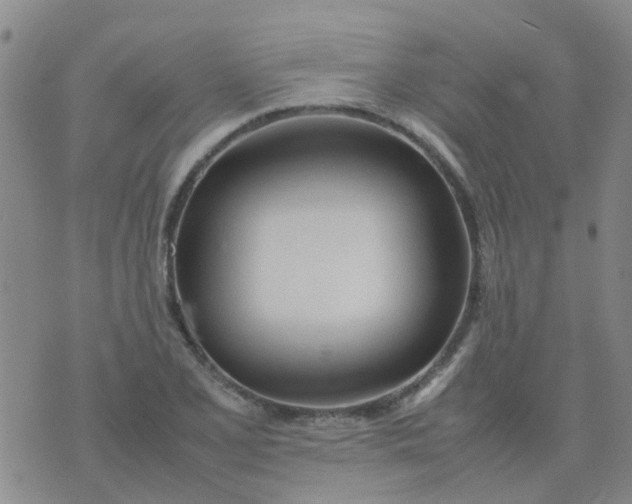 X0000074331077200609082026