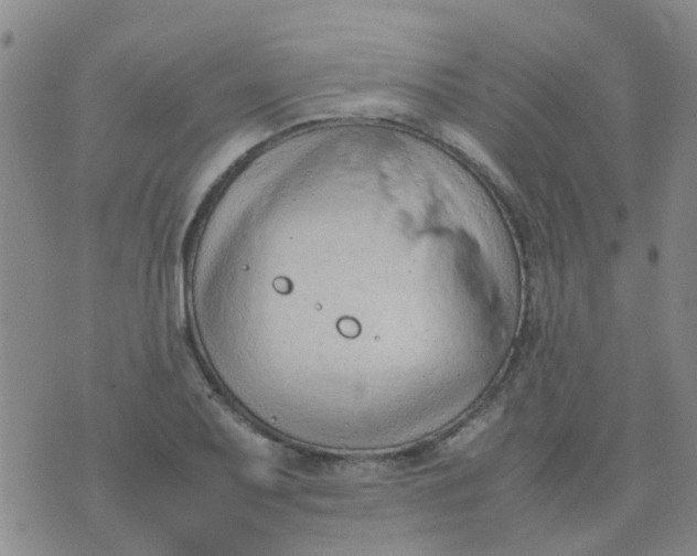 X0000074331079200609082026