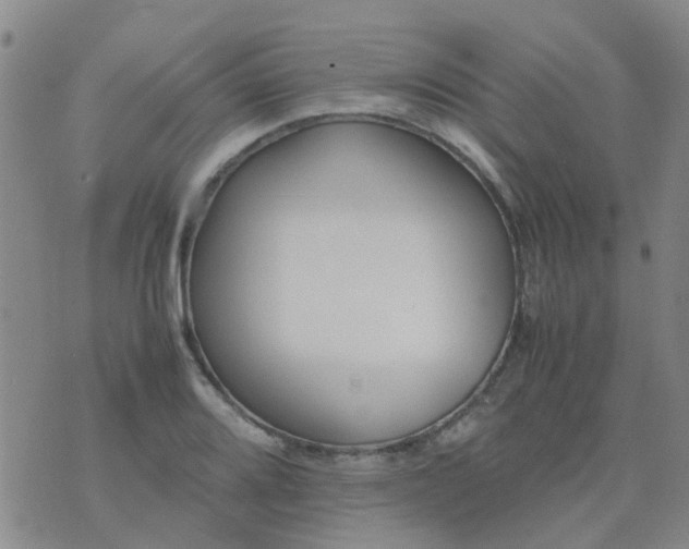 X0000074331080200609082026