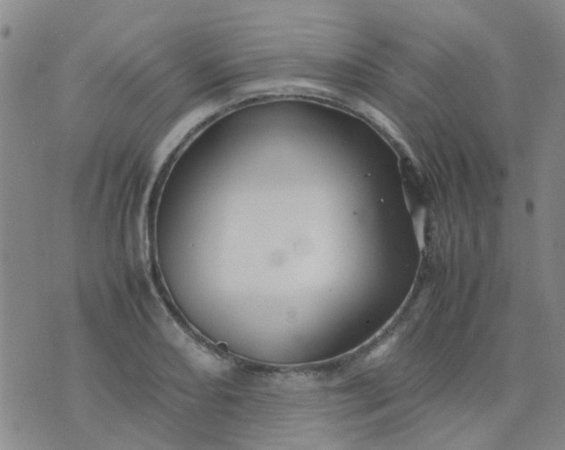 X0000074331082200609082026