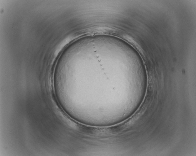 X0000074331083200609082026