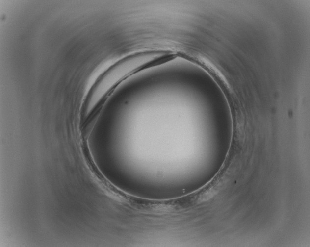 X0000074331085200609082026