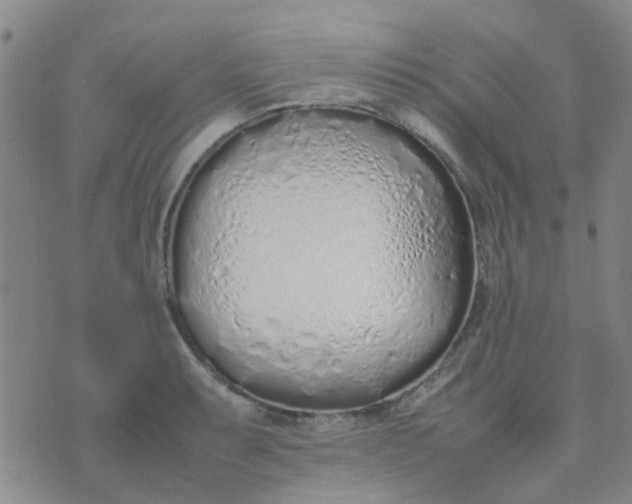 X0000074331087200609082026