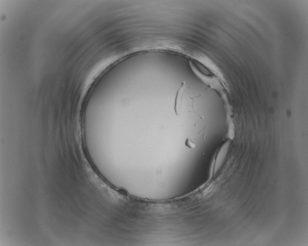 X0000074331088200609082026