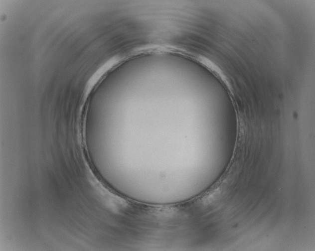 X0000074331090200609082026