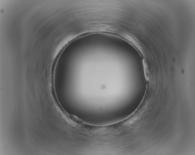 X0000074331093200609082026