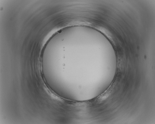 X0000074331094200609082026