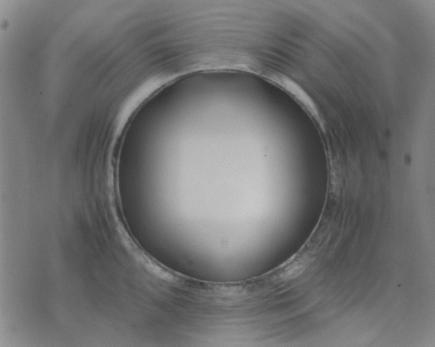 X0000074331096200609082026