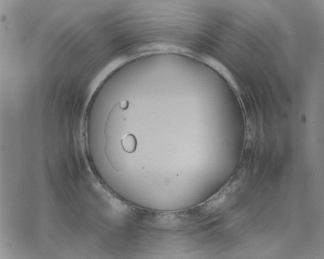 X0000074331098200609082026