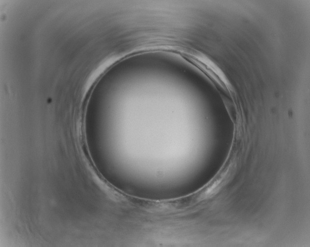 X0000074331101200609082026