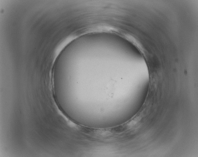 X0000074331103200609082026