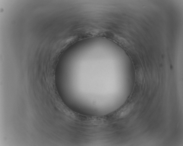 X0000074331105200609082025